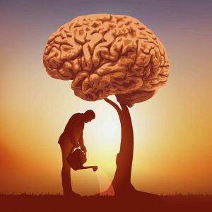 Self-Compassion Course