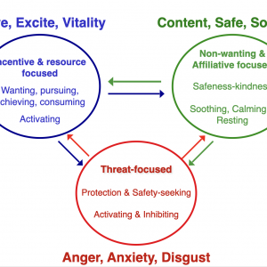 compassion focused therapy