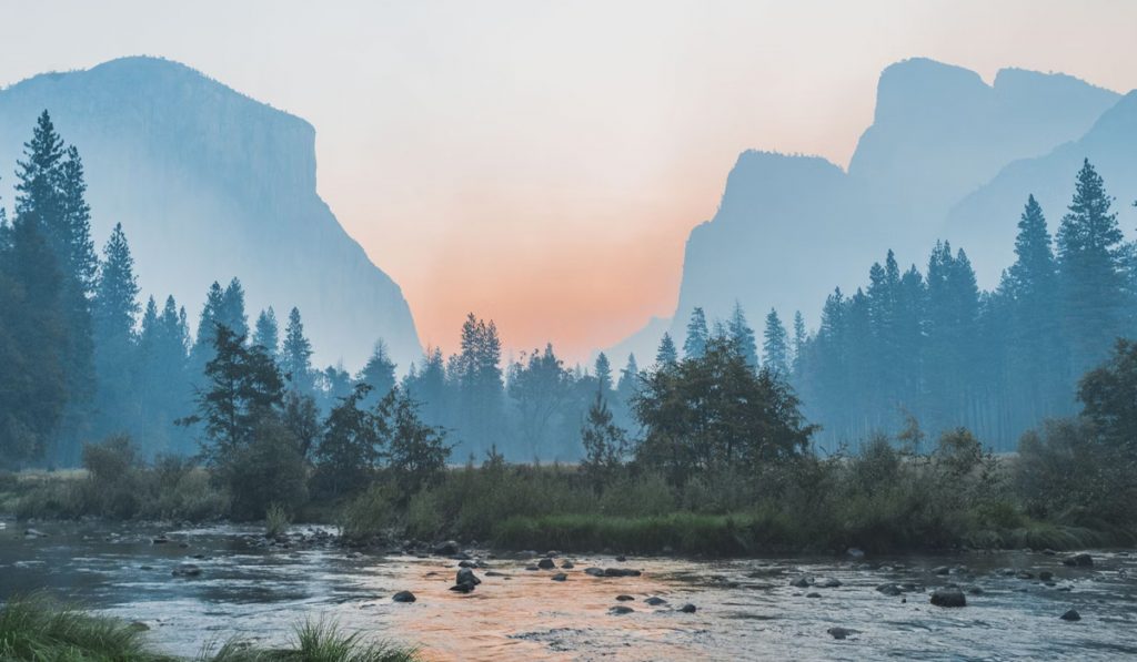 Compassionate Self-to-Self​